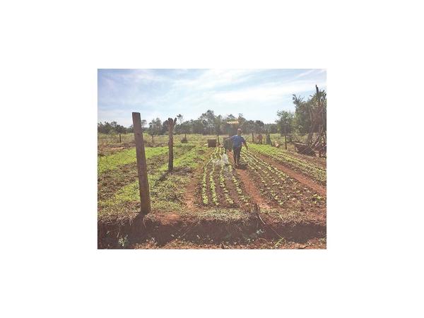 Vecinos esperan solución tras  años de lucha para conseguir   tierras