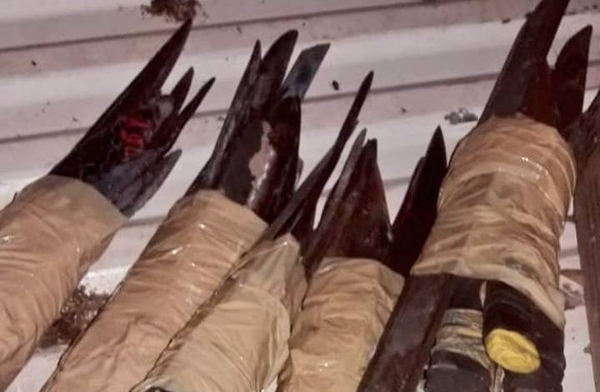 HOY / Muertos en San Pedro no fueron reclamados por familiares, permanecerán en morgue de Asunción