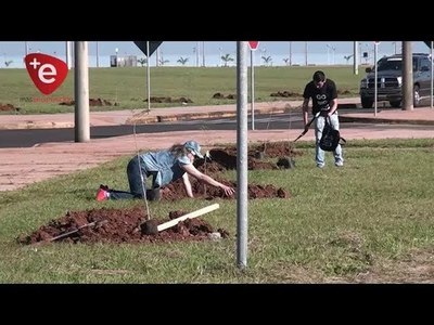 ENCARNACIÓN: PLANTAN 300 ÁRBOLES EN EL PASEO VILLA BAJA