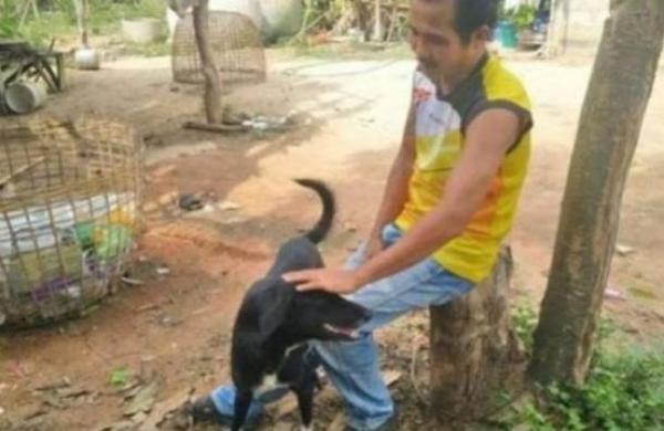 Perro héroe rescata a recién nacido que había sido enterrado vivo por su madre - C9N