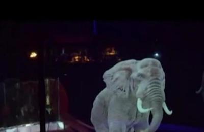 Circo en Alemania sustituye hologramas por animales - C9N