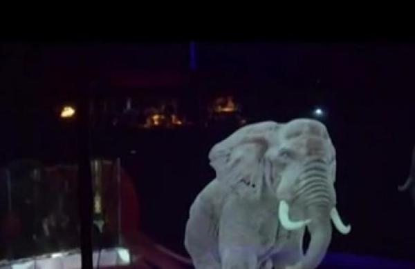 Circo en Alemania sustituye hologramas por animales - C9N