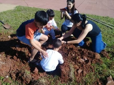 Cultivan jacarandá en costanera encarnacena - Nacionales - ABC Color