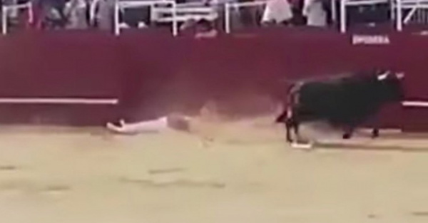 Toro mató en corrida