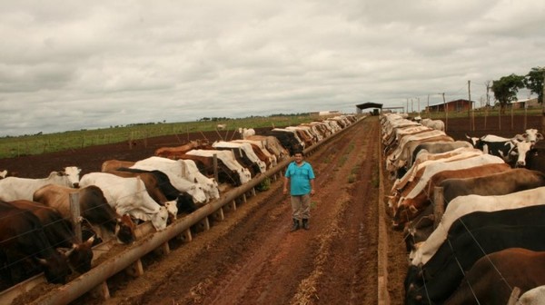 EEUU se queda con más del 70% de la cuota 481 para Europa y complica a producción de ganado a corral en Uruguay y Argentina