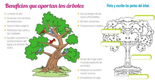Nuestro amigo el árbol - Edicion Impresa - ABC Color
