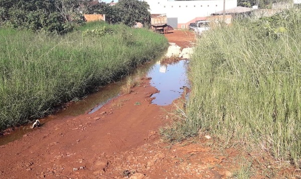 Concurrida calle cubierta por charco y yuyal a pasos de la supercarretera
