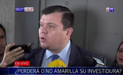 Amarilla despreocupado por tratamiento de su expulsión | Noticias Paraguay