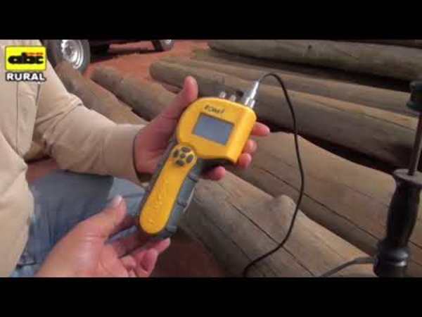 Impregnado de la madera de eucaliptos - Tv - ABC Color