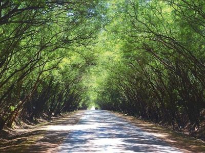 Explorar las tierras del corazón sudamericano, una opción ideal para vacacionar - Periodismo Joven - ABC Color