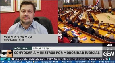 Diputado insta a expulsar a presos extranjeros