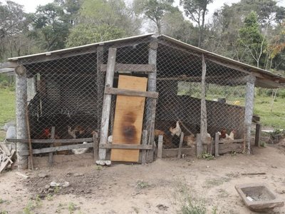Otorgó el traslado de reo por una cardiopatía y cuadros respiratorios crónicos