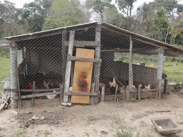 Otorgó el traslado de reo por una cardiopatía y cuadros respiratorios crónicos