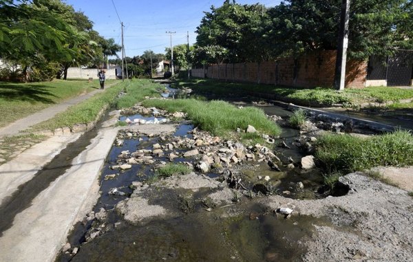 Años de abandono dan lugar a calle con ecosistema propio - Edicion Impresa - ABC Color