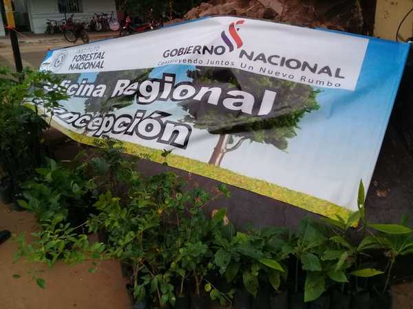 Regalan plantines para arborización urbana | Radio Regional 660 AM
