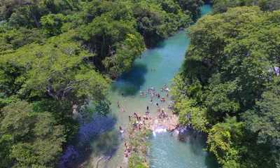 Alertan sobre posible destrucción de Reserva Natural Tagatiya-mí