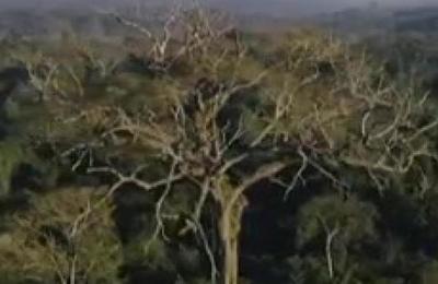 'Colosos de la tierra' cierra las inscripciones - C9N