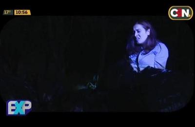 Expedientes: 'La Chica del Hangar' - C9N