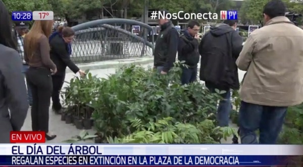 Entregaron plantines en Asunción | Noticias Paraguay