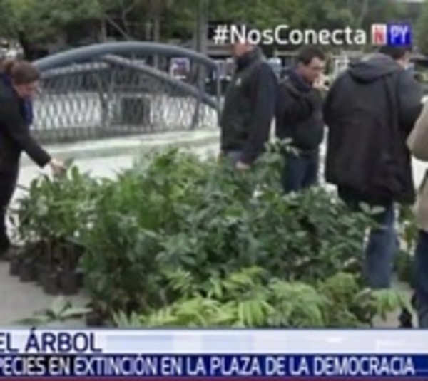 Regalaron árboles en peligro de extinción en Asunción - Paraguay.com