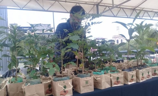 HOY / Regalan plantines de especies nativas para celebrar Día del Árbol