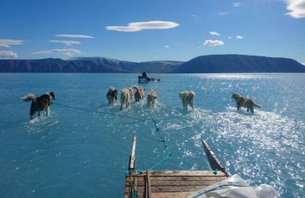 Groenlandia se derrite: la impactante foto que deja en evidencia el avance del cambio climático - C9N