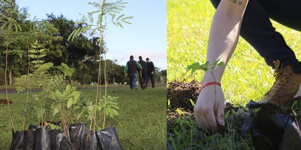 HONRAN DÍA DEL ÁRBOL SEMBRANDO ESPECIES NATIVAS.