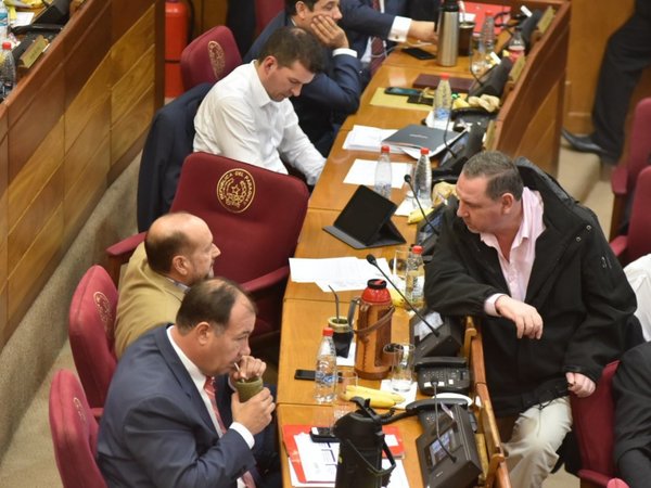 En medio de críticas, Senado debate sobre reforma tributaria