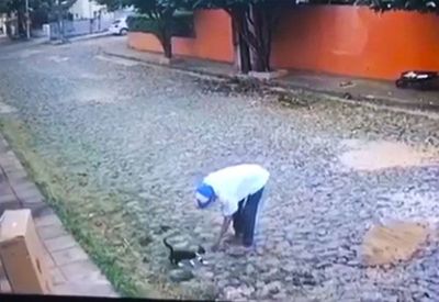 Investigan a un hombre por maltratar al gato de su vecino - Nacionales - ABC Color