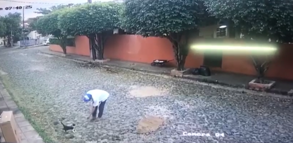 Fiscalía investiga a un hombre por fracturar al gato de su vecina