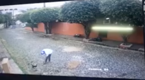 HOY / VIDEO| 'Acusado' de zoofilia ahora denunciado por fracturar a un gato: fiscalía investiga