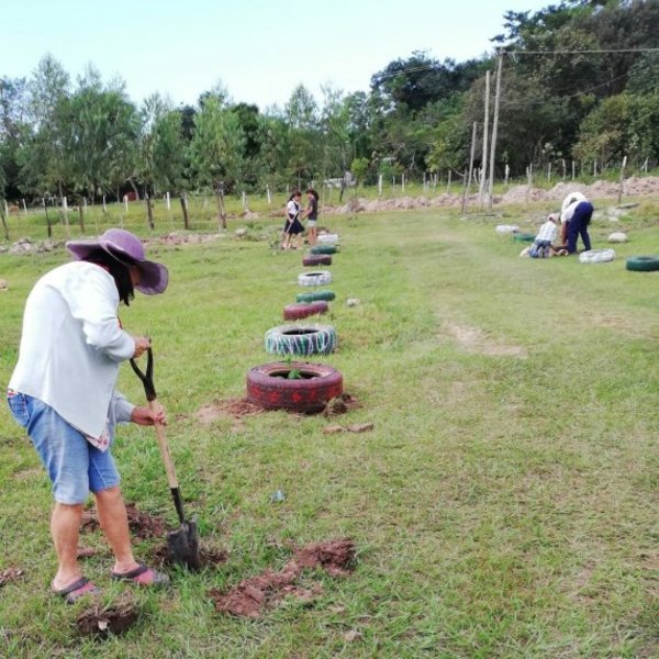 Instan a plantar árboles en su día - Nacionales - ABC Color