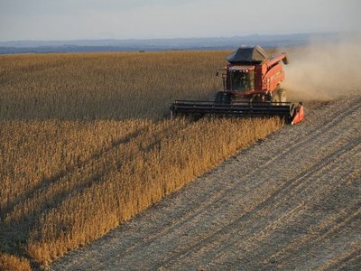 Senado aprueba la no devolución de IVA a agroexportadores