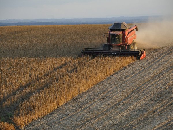 Senado aprueba la no devolución de IVA a agroexportadores
