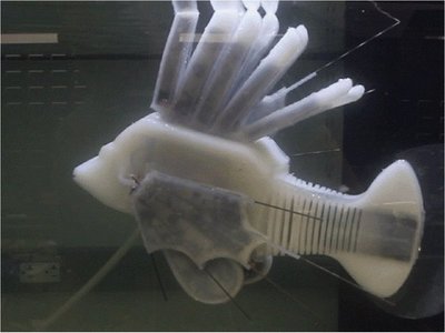 Crean un pez robótico con un sistema vascular sintético