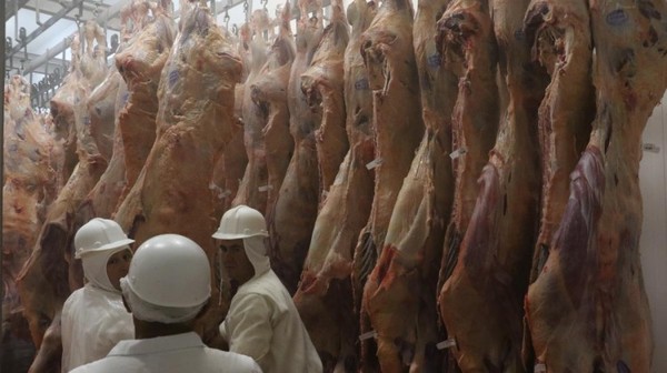 Los exportadores continúan a la espera de mejores condiciones para la venta de carne en Chile y Rusia