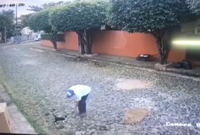 Tras los pasos de un presunto zoofílico - Radio 1000 AM