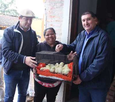 Villa Florida: 350 familias fueron beneficiadas con producción de aves - Digital Misiones