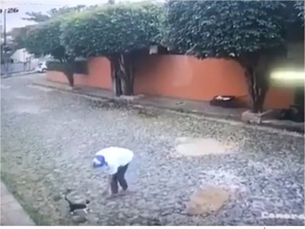 Le rompió la pata a un gatito y lo acusan de zoofilia