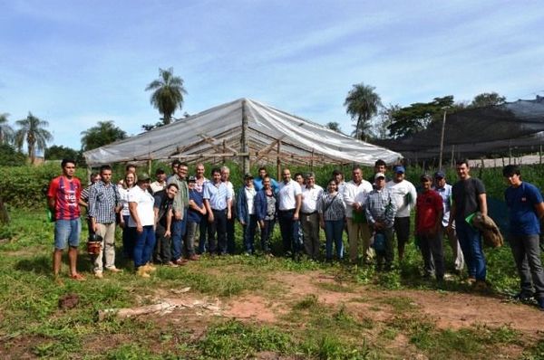 Pequeños productores de Cordillera se capacitaron en cultivos de tomate y locote - Edicion Impresa - ABC Color