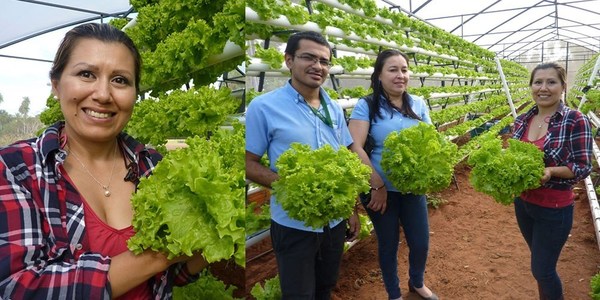 MUJER EMPRENDEDORA LLEVA ADELANTE UN EXITOSO PROYECTO DE CULTIVO HIDROPÓNICO