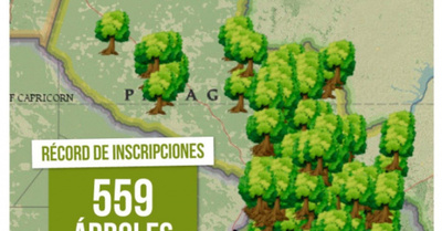 “Colosos de la Tierra” logra récord con 559 árboles inscriptos.