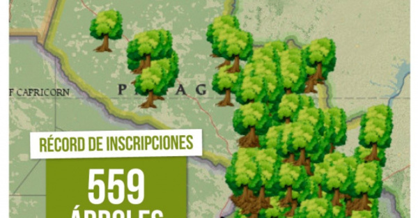 “Colosos de la Tierra” logra récord con 559 árboles inscriptos.