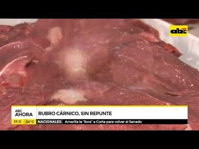Rubro cárnico sin repunte - Tv - ABC Color