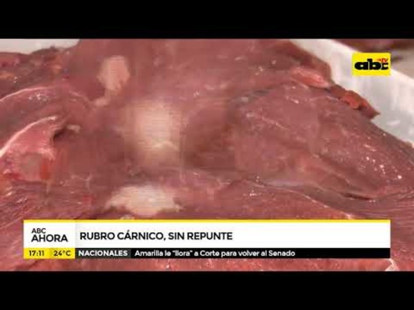 Rubro cárnico sin repunte - Tv - ABC Color