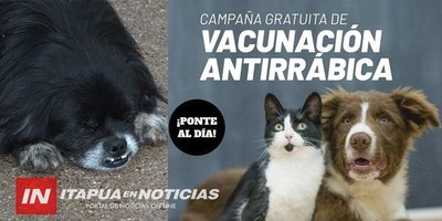 GRAN VACUNACIÓN DE ANIMALES DOMÉSTICOS GRATUITA EN LA UNI.
