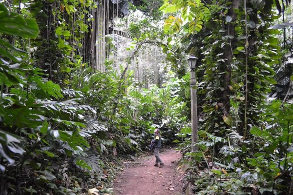 Zona de Itaipú será centro medioambiental - Nacionales - ABC Color