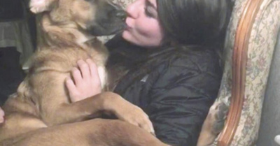 Novios rompen y pelean por custodia del perrito