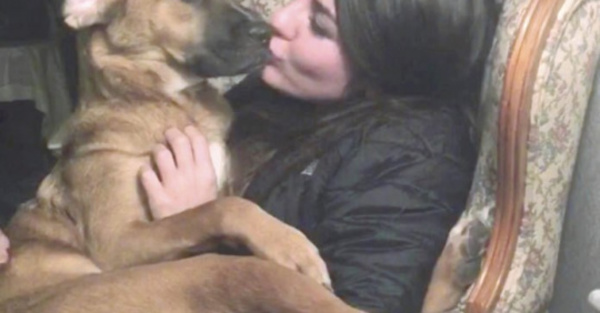 Novios rompen y pelean por custodia del perrito