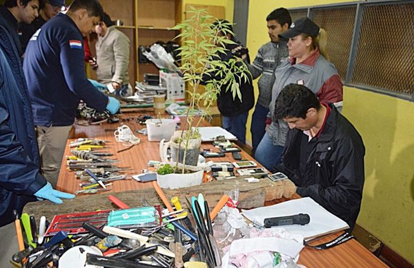 Hasta plantas de marihuana en la cárcel - Edicion Impresa - ABC Color